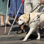 guide dogs adult pediatric eyecare local eye doctor near you.jpg